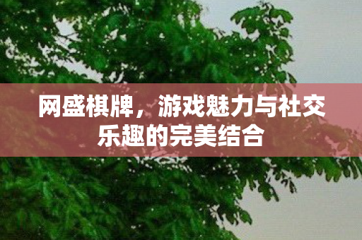 网盛棋牌,游戏魅力与社交乐趣的完美结合 网盛棋牌,游戏魅力与社交乐趣的完美结合