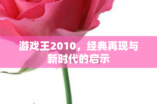 游戏王2010,经典再现与新时代的启示 游戏王2010,经典再现与新时代的启示