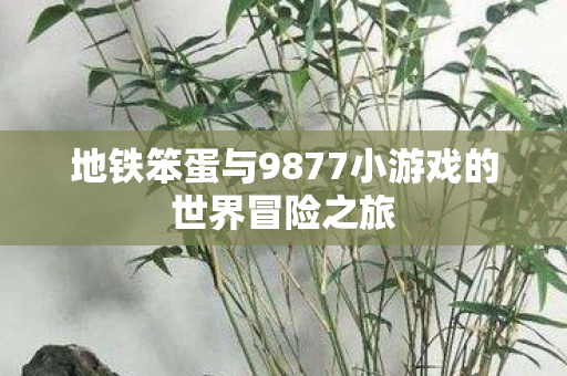 地铁笨蛋与9877小游戏的世界冒险之旅