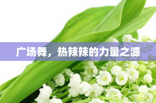 广场舞，热辣辣的力量之源