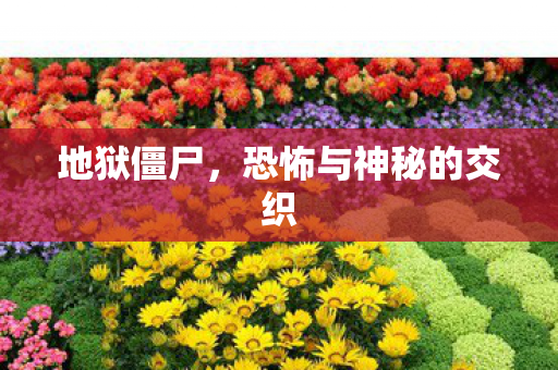 地狱僵尸，恐怖与神秘的交织