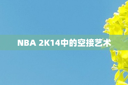 NBA 2K14中的空接艺术 NBA 2K14中的空接艺术