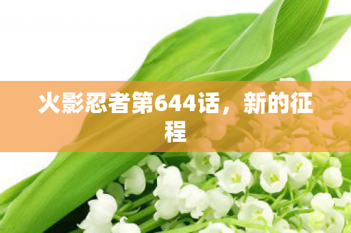 火影忍者第644话，新的征程