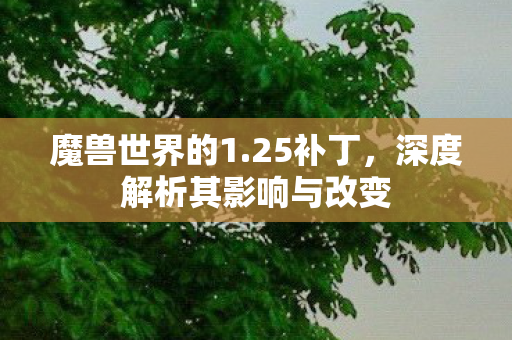 魔兽世界的1.25补丁,深度解析其影响与改变 魔兽世界的1.25补丁,深度解析其影响与改变