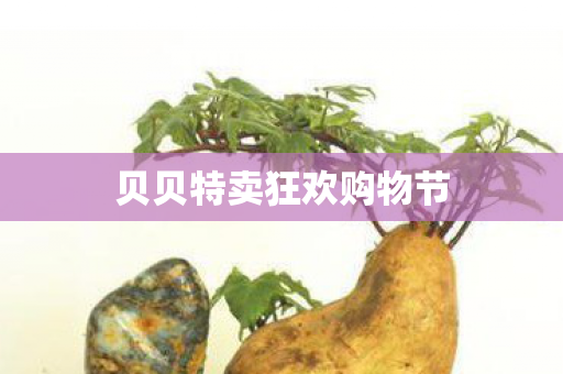 贝贝特卖狂欢购物节