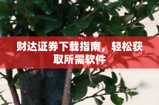 财达证券下载指南，轻松获取所需软件