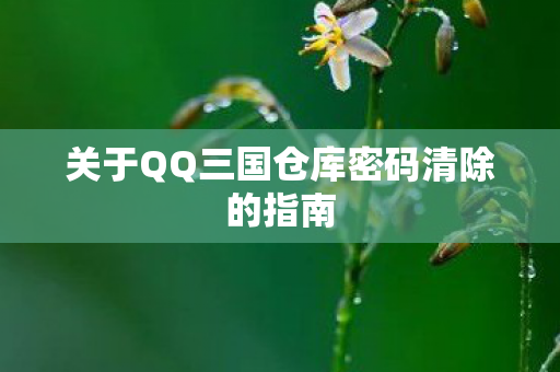 关于QQ三国仓库密码清除的指南 关于QQ三国仓库密码清除的指南