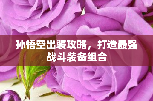 孙悟空出装攻略,打造最强战斗装备组合 孙悟空出装攻略,打造最强战斗装备组合