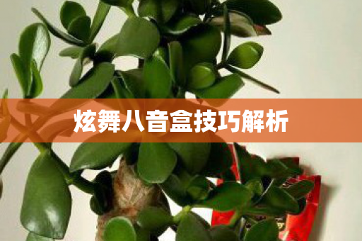 炫舞八音盒技巧解析 炫舞八音盒技巧解析