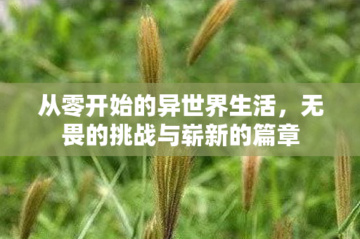 从零开始的异世界生活,无畏的挑战与崭新的篇章 从零开始的异世界生活,无畏的挑战与崭新的篇章