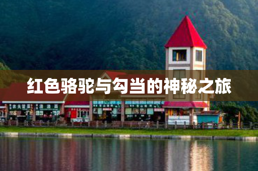 红色骆驼与勾当的神秘之旅