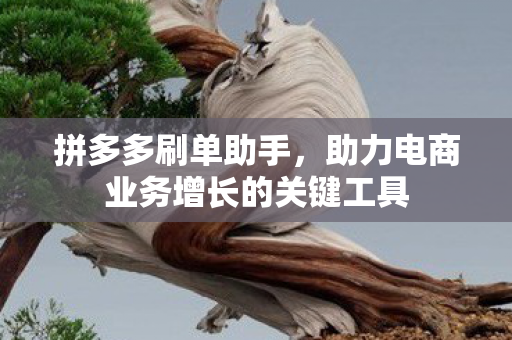 拼多多刷单助手,助力电商业务增长的关键工具 拼多多刷单助手,助力电商业务增长的关键工具