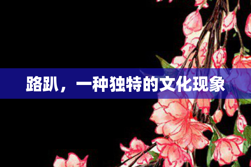路趴,一种独特的文化现象 路趴,一种独特的文化现象