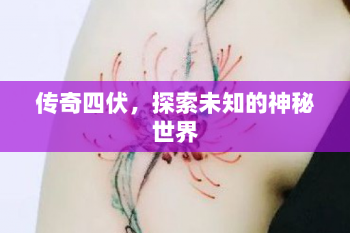 传奇四伏,探索未知的神秘世界 传奇四伏,探索未知的神秘世界