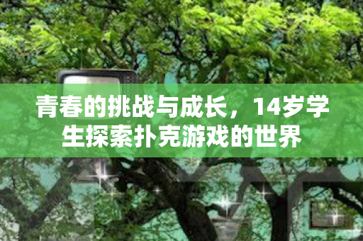 青春的挑战与成长,14岁学生探索扑克游戏的世界 青春的挑战与成长,14岁学生探索扑克游戏的世界