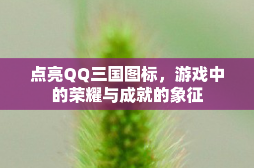 点亮QQ三国图标,游戏中的荣耀与成就的象征 点亮QQ三国图标,游戏中的荣耀与成就的象征