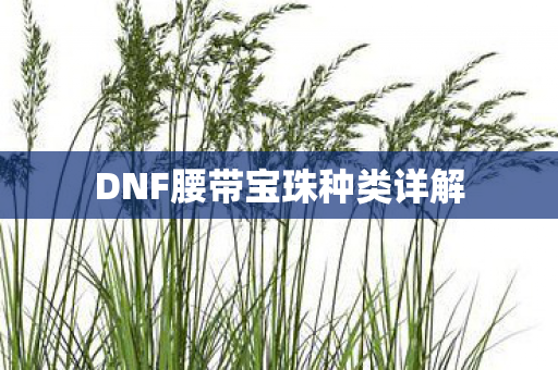 DNF腰带宝珠种类详解 DNF腰带宝珠种类详解