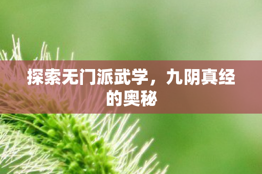 探索无门派武学,九阴真经的奥秘 探索无门派武学,九阴真经的奥秘