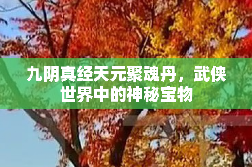 九阴真经天元聚魂丹,武侠世界中的神秘宝物 九阴真经天元聚魂丹,武侠世界中的神秘宝物