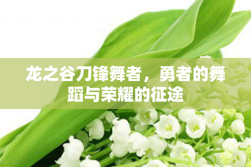 龙之谷刀锋舞者,勇者的舞蹈与荣耀的征途 龙之谷刀锋舞者,勇者的舞蹈与荣耀的征途