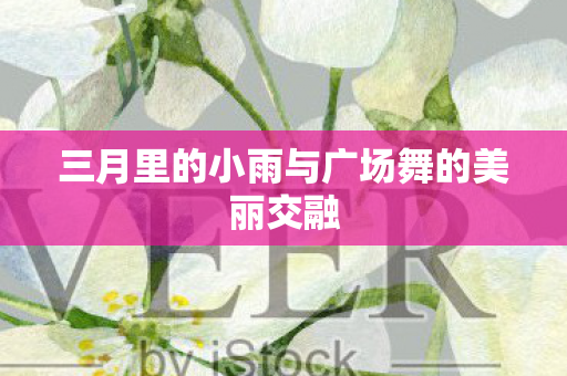 三月里的小雨与广场舞的美丽交融 三月里的小雨与广场舞的美丽交融