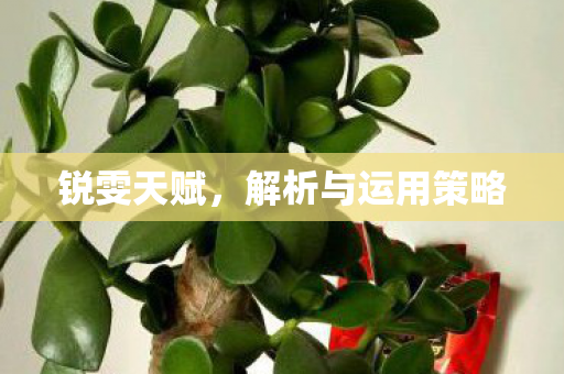锐雯天赋,解析与运用策略 锐雯天赋,解析与运用策略