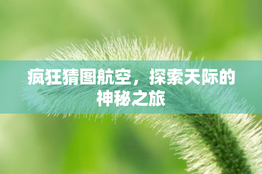 疯狂猜图航空，探索天际的神秘之旅