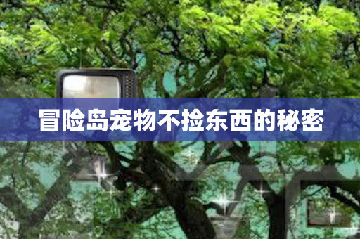 冒险岛宠物不捡东西的秘密 冒险岛宠物不捡东西的秘密