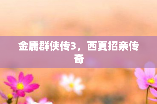 金庸群侠传3，西夏招亲传奇