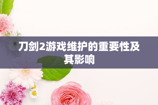 刀剑2游戏维护的重要性及其影响
