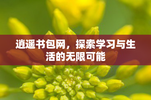 逍遥书包网,探索学习与生活的无限可能 逍遥书包网,探索学习与生活的无限可能