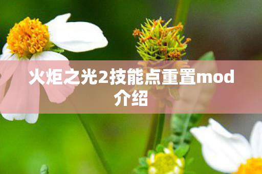 火炬之光2技能点重置mod介绍 火炬之光2技能点重置mod介绍