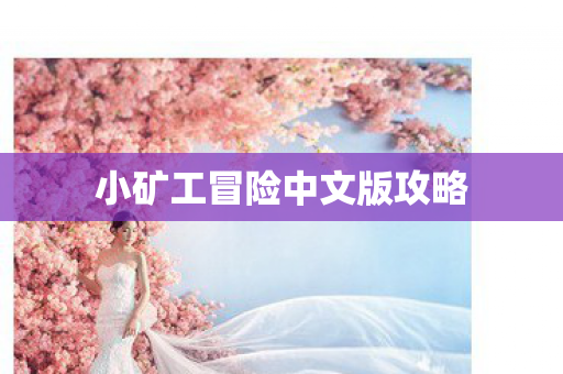 小矿工冒险中文版攻略