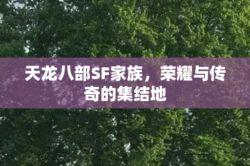 天龙八部SF家族,荣耀与传奇的集结地 天龙八部SF家族,荣耀与传奇的集结地