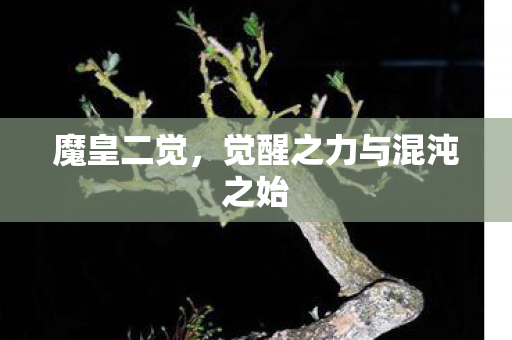 魔皇二觉,觉醒之力与混沌之始 魔皇二觉,觉醒之力与混沌之始