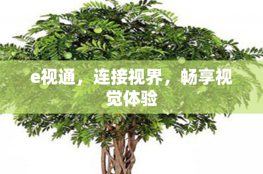 e视通,连接视界,畅享视觉体验 e视通,连接视界,畅享视觉体验