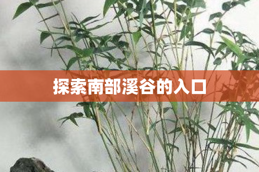 探索南部溪谷的入口 探索南部溪谷的入口