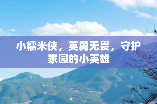 小糯米侠，英勇无畏，守护家园的小英雄