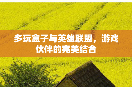 多玩盒子与英雄联盟,游戏伙伴的完美结合 多玩盒子与英雄联盟,游戏伙伴的完美结合