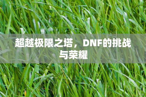超越极限之塔,DNF的挑战与荣耀 超越极限之塔,DNF的挑战与荣耀