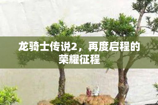 龙骑士传说2，再度启程的荣耀征程
