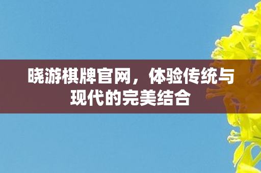 晓游棋牌官网，体验传统与现代的完美结合