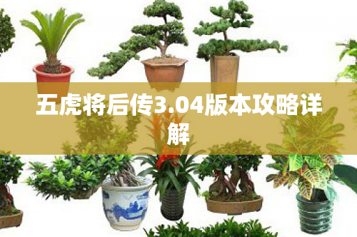 五虎将后传3.04版本攻略详解 五虎将后传3.04版本攻略详解