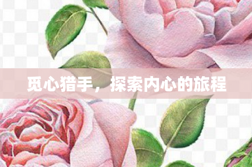 觅心猎手,探索内心的旅程 觅心猎手,探索内心的旅程
