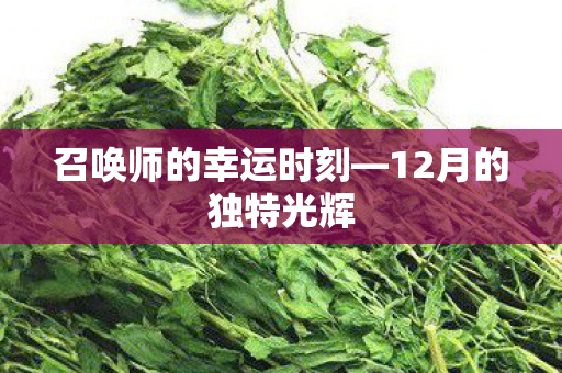 召唤师的幸运时刻—12月的独特光辉 召唤师的幸运时刻—12月的独特光辉