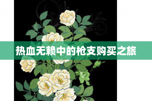 热血无赖中的枪支购买之旅 热血无赖中的枪支购买之旅