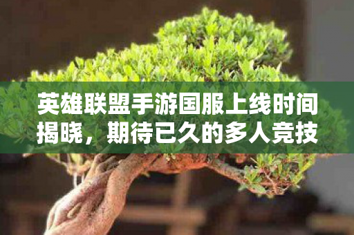 英雄联盟手游国服上线时间揭晓,期待已久的多人竞技盛宴即将来临 英雄联盟手游国服上线时间揭晓,期待已久的多人竞技盛宴即将来临
