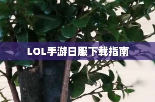 LOL手游日服下载指南 LOL手游日服下载指南