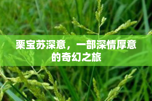 栗宝苏深意,一部深情厚意的奇幻之旅 栗宝苏深意,一部深情厚意的奇幻之旅