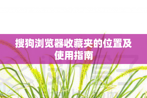 搜狗浏览器收藏夹的位置及使用指南